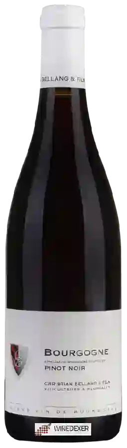 Winery Christian Bellang & Fils - Bourgogne Pinot Noir
