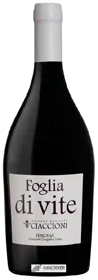 Winery Ciaccioni - Foglia di Vite Rosso Toscano