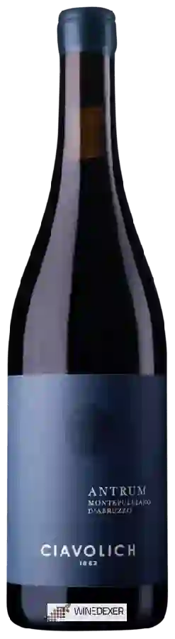 Winery Ciavolich - Antrum Montepulciano d'Abruzzo Winery Ciavolich - Antrum Montepulciano d'Abruzzo