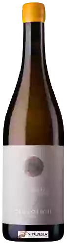 Winery Ciavolich - Aries Pecorino
