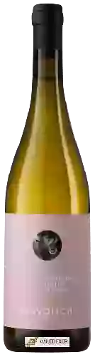 Winery Ciavolich - Passerina