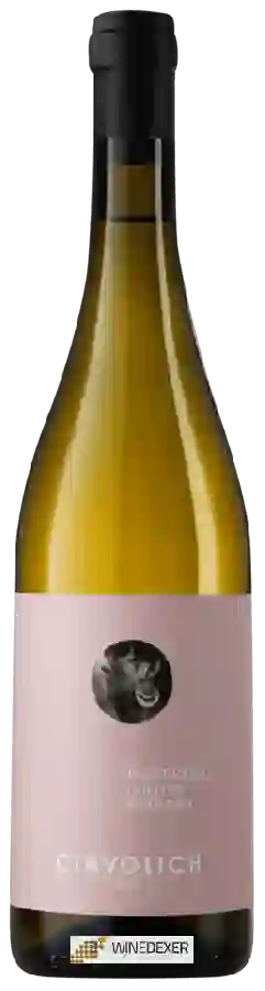 Winery Ciavolich - Passerina