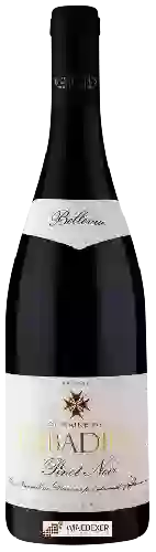 Domaine de Cibadiès - Bellevue Pinot Noir