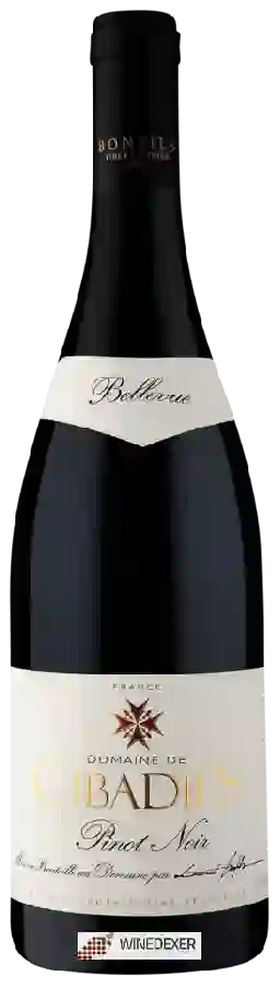 Domaine de Cibadiès - Bellevue Pinot Noir