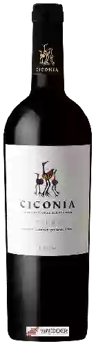Winery Ciconia - Reserva Tinto Blend