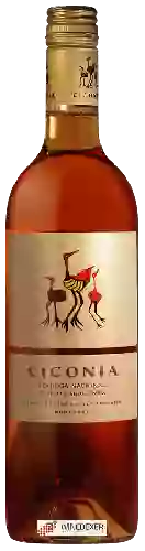 Winery Ciconia - Rosé (Touriga Nacional - Syrah - Aragonez)