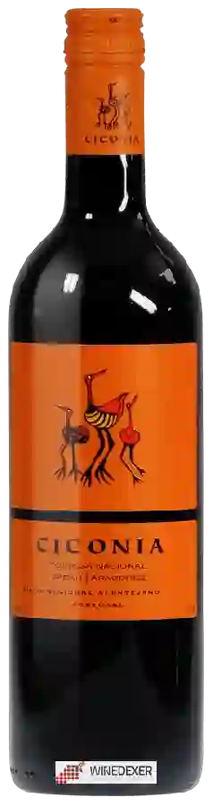 Winery Ciconia - Tinto (Touriga Nacional - Syrah - Aragonez)