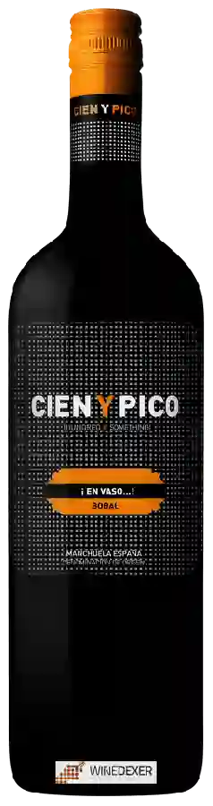 Winery Cien Y Pico - ¡ En Vaso...!