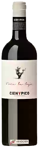 Winery Cien Y Pico - Viña La Ceja