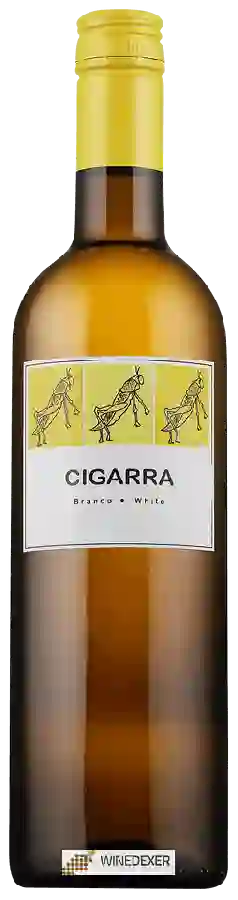 Winery Cigarra - Branco Winery Cigarra - Branco