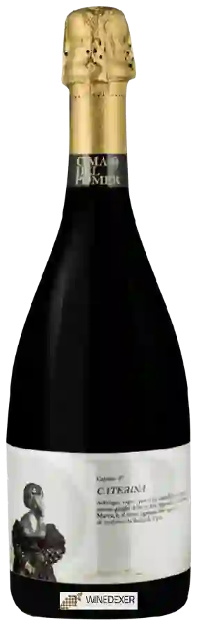 Winery Cima del Pomer - Caterina