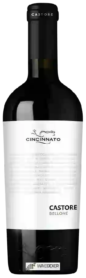 Winery Cincinnato - Castore Bellone