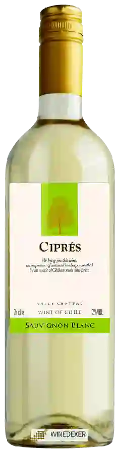 Winery Ciprés - Sauvignon Blanc