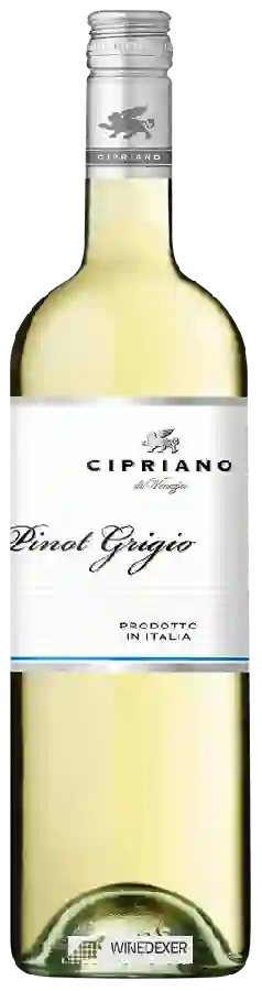 Winery Cipriano - Pinot Grigio Winery Cipriano - Pinot Grigio
