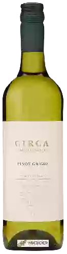 Winery Circa - Pinot Grigio