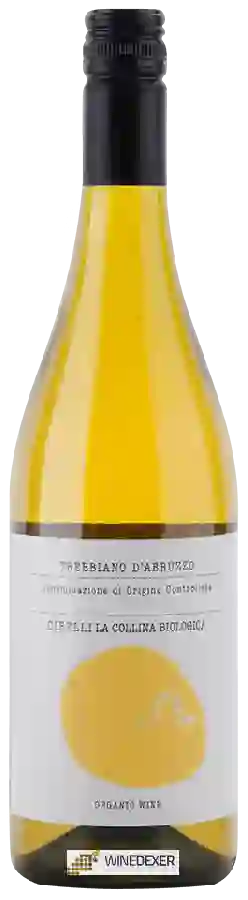 Winery Cirelli - Trebbiano d'Abruzzo