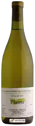 Winery Biondi - Contrada Ronzini Pianta