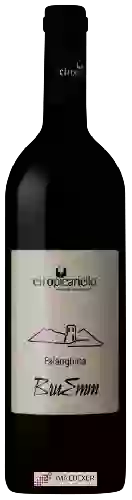 Winery Ciro Picariello - Bruemm Falanghina