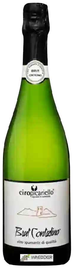 Winery Ciro Picariello - Brut Contadino Winery Ciro Picariello - Brut Contadino