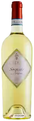 Winery Citari - Sorgente Lugana