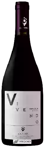 Winery Calyptra - Vivendo Pinot Noir Reserva