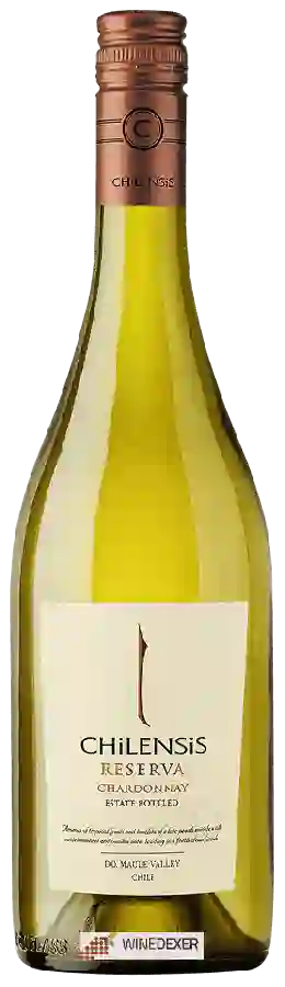 Winery Chilensis - Chardonnay Reserva Winery Chilensis - Chardonnay Reserva