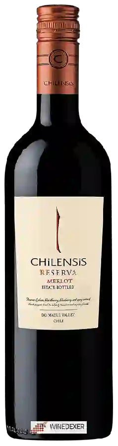Winery Chilensis - Merlot Reserva