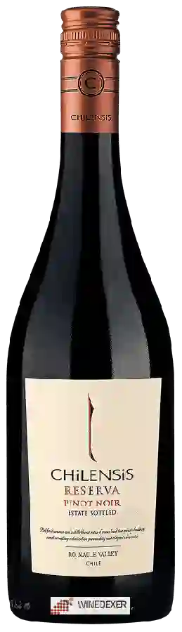 Winery Chilensis - Pinot Noir Reserva