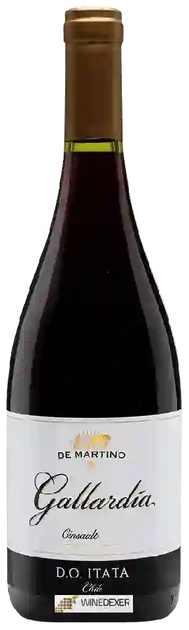 Winery De Martino - Gallardía Cinsault