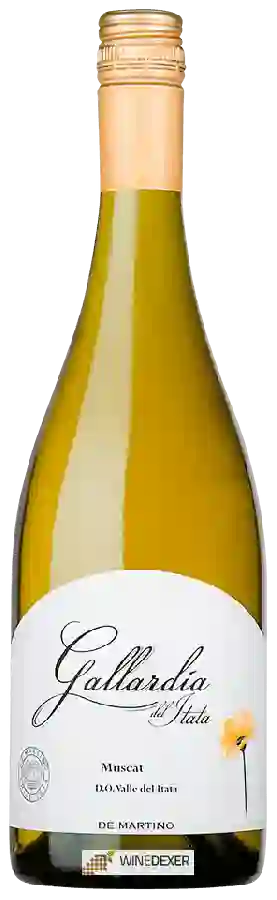 Winery De Martino - Gallardía Muscat Winery De Martino - Gallardía Muscat