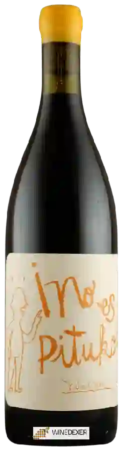 Winery Echeverría - I No Es Pituko Cabernet Franc