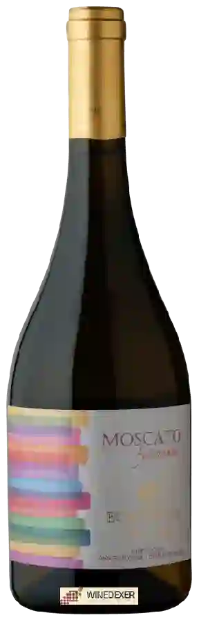 Winery Echeverría - Moscato Frizzante Winery Echeverría - Moscato Frizzante