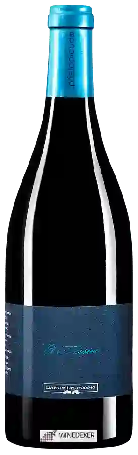 Winery Leyenda del Páramo - El Músico