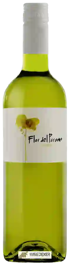 Winery Leyenda del Páramo - Flor del Páramo Verdejo