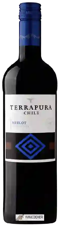 Winery Terrapura - Merlot Winery Terrapura - Merlot