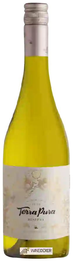 Winery Terrapura - Reserva Chardonnay