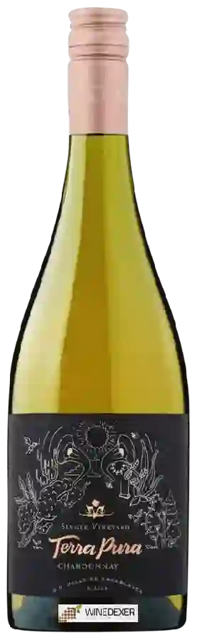 Winery Terrapura - Single Vineyard Chardonnay Winery Terrapura - Single Vineyard Chardonnay