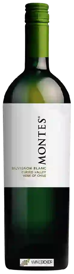 Winery Villa Montes - Sauvignon Blanc Winery Villa Montes - Sauvignon Blanc