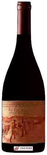 Winery Viña Maipo - Alto Tajamar Syrah