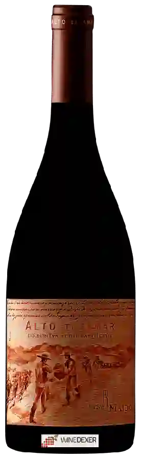 Winery Viña Maipo - Alto Tajamar Syrah