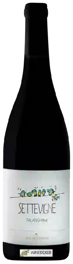 Winery Claudio Cipressi - Settevigne Falanghina