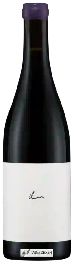 Winery Claus Preisinger - Buehl