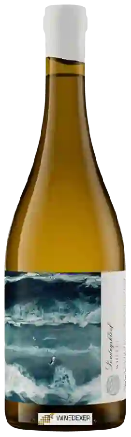 Winery Trizanne Signature Wines - Sondagskloof White