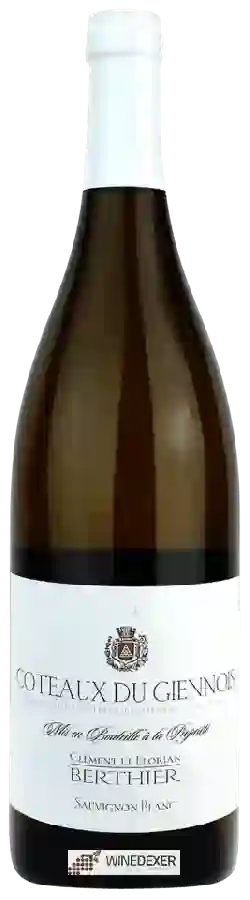 Winery Clement et Florian Berthier - Coteaux du Giennois Sauvignon Blanc