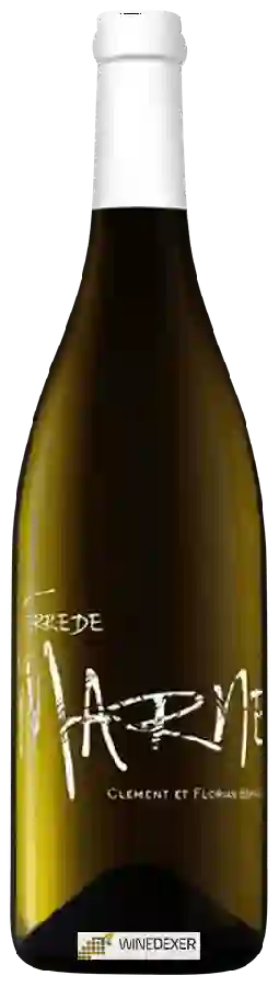 Winery Clement et Florian Berthier - Terre de Marne