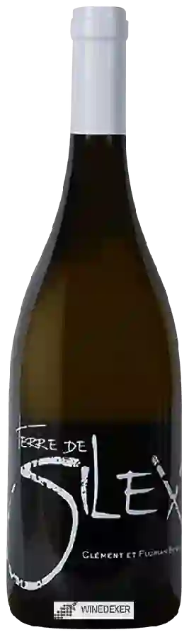 Winery Clement et Florian Berthier - Terre de Silex