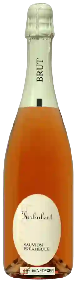 Winery Sauvion - Turbulent Préambule Rosé