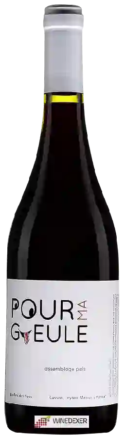 Winery Clos des Fous - Pour Ma Gueule (Assemblage Pais)