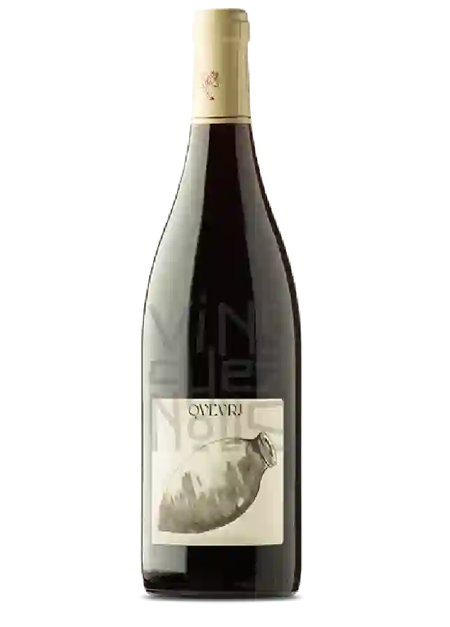 Clos du Tue-Boeuf - Qvevri Rouge