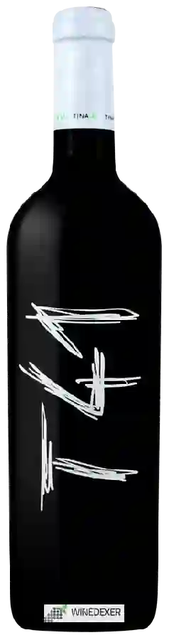 Winery Clos L'Asentiu - T41